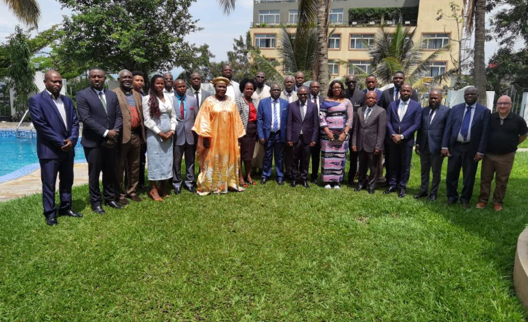 Formation des INDH d'Afrique Centrale sur l'alerte pr&eacute;coce