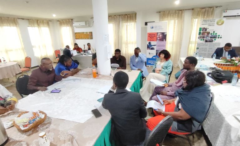 Monitoring des droits humains en contexte s&eacute;curitaire : les OSC du Nord-Ouest et du Sud-Ouest se mobilisent