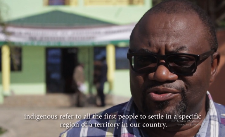 Participation politique des peuples autochtones au Cameroun